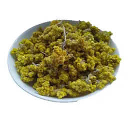Цмин Безсмертник Солом'янка Жовтяниця Квіти Helichrysum arenarium - мініатюра 1
