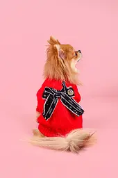 Светр для собак Chanel M, червоний