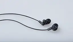 Навушники Panasonic RP-HJE118GUK In-ear Black (RP-HJE118GUK) - мініатюра 2
