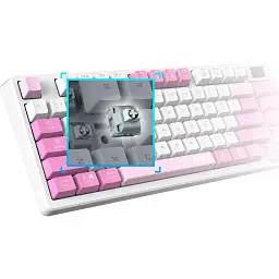Клавіатура MSI Forge GK600 TKL Wireless UA Violet (S11-43UAQ01-HH9) [145471] - мініатюра 7