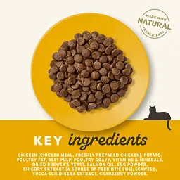 Сухий корм для літніх кішок Applaws Senior Chicken + пробіотик, 7,5 кг - мініатюра 4