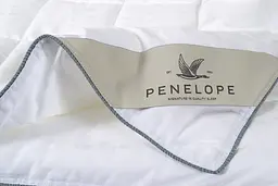 Ковдра Penelope - Celia Fine 195x215 євро - мініатюра 6