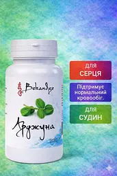 Арджуна экстракт 400 мг, 60 капсул — при стрессе, напряжении и усталости после 40 для поддержки сердца и сосудов, BEKANDZE - миниатюра 2