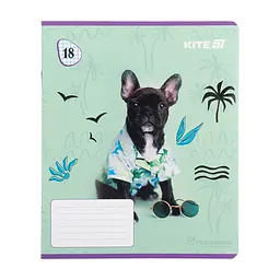 Зошит Kite Rachael Hale, 18 аркушів, клітинка (R25-236), в асортименті - мініатюра 4