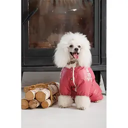 Комбінезон Pet Fashion Cherry ХS2 для дівчаток для собак - мініатюра 4