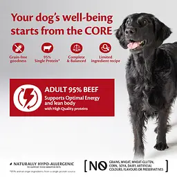 Консерви для собак Wellness CORE 95% Single Protein, Beef with Broccoli з яловичиною - мініатюра 4