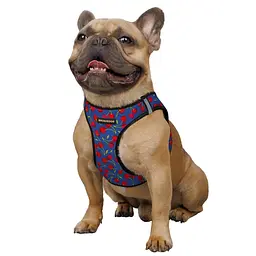 Шлея для собак Bronzedog Sport Vest Вишні M 24х18х3 см синя - мініатюра 3