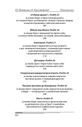 Пентименто - Олександр Красовицький - мініатюра 7