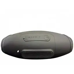 Портативна колонка XPRO H31 20Вт USB AUX FM Bluetooth чорна (H31) - мініатюра 2