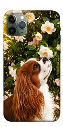 TPU чохол Demsky Flower spaniel для Apple iPhone 11 Pro (5.8")