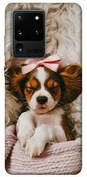 TPU чохол Demsky Sleepy spaniel для Samsung Galaxy S20 Ultra