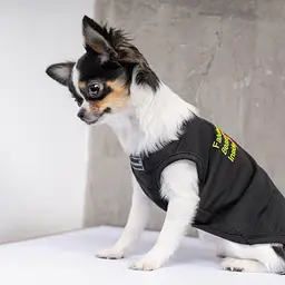 Боротьба Pet Fashion FBI для собак, розмір M2, чорна - мініатюра 5