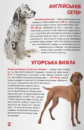 Велика книжка. Мисливські собаки - Олег Зав'язкин - мініатюра 2