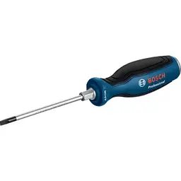 Викрутка SL Bosch Professional 4.5x100 мм
