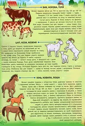 Енциклопедія з наліпками. Свійські тварини - мініатюра 3