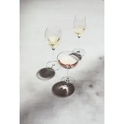 Келих для шампанського Schott Zwiesel Bar Special 281 мл 1 шт. (111219) - мініатюра 5