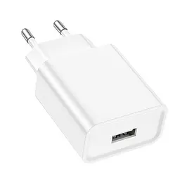 Адаптер мережевий BOROFONE Aspirer single port charger BA74A сам блок в розетку - мініатюра 8
