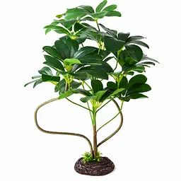 Штучна рослина Hobby Schefflera 55 см (37710) для тераріуму, акватераріуму та палюдаріуму - мініатюра 1