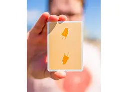 Карти гральні United States Playing Card Company Organic Playing Cards Cardsicles (ВР_КГОПК) - мініатюра 2