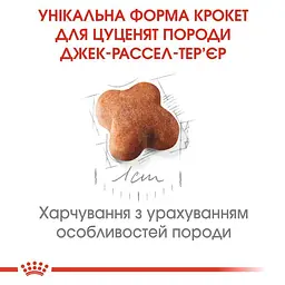 Сухий корм для цуценят породи Джек Рассел Тер'єр Royal Canin Jack Russell Puppy, 3 кг (21010301) - мініатюра 3