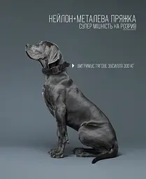 Нашийник для собак з повідцем Harness, нейлоновий з металевою пряжкою-фастекс Чорний, XL - мініатюра 3