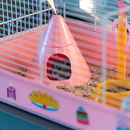 Клітка Ferplast Cage Criceti 9 Princess для хом`яків - мініатюра 3