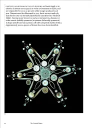 The Cosmic Dance. Finding Patterns and Pathways in a Chaotic Universe - мініатюра 10