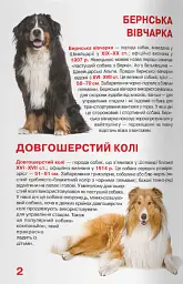 Велика книжка. Службові собаки - Олег Зав'язкин - мініатюра 2