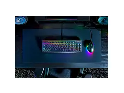 Клавіатура Razer BlackWidow V4 X Green Switch RU (RZ03-04700800-R3R1) - мініатюра 5