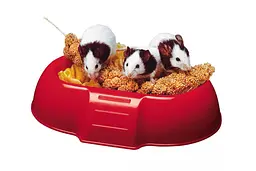 Годівниця для гризунів Ferplast Dada 4706 Feeding Bowl 16.5x11.5x3.5 см 84706799