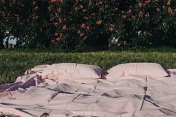 Комплект постільної білизни сатин 100% бавовна рожевий Baby Pink - двоспальний - мініатюра 4