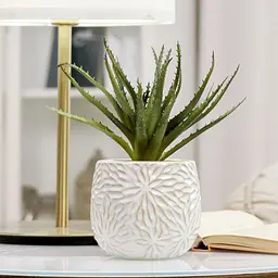 Горщик зі штучною рослиною МВМ My Home, 22 см, бежевий (DH-FLOWERS-13 GREEN/BEIGE) - мініатюра 5