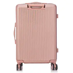Валіза Semi Line 24" M Rose (T5664-4) - мініатюра 5