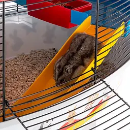 Клітка Ferplast Circus Fun для хом`яків - мініатюра 4