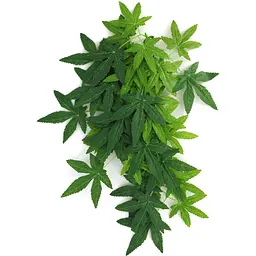 Штучна рослина Repti-Zoo Velvetleaf 40см (TP003)