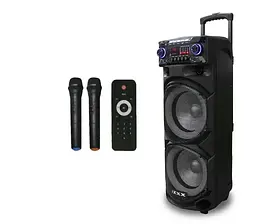 Колонка акумуляторна 2х10" 200Вт портативна c 2 радіомікрофонами караоке акустична система c LED RGB підсвічуванням 72х43х34см TWS/FM/USB/TF/SD/BT/REC/EQ/LED/2MIC ZXX-9292