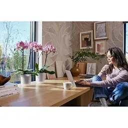 Горшик Elho Vibes fold orchid high 13 см прозорий (527662) - мініатюра 7
