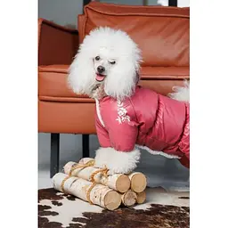 Комбінезон Pet Fashion Cherry ХS2 для дівчаток для собак - мініатюра 6