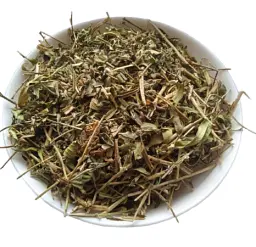 Галега Козлятник Трава Galega officinalis - мініатюра 1
