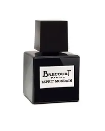 Оригінал Brecourt Esprit Mondain 50 мл Парфумована вода