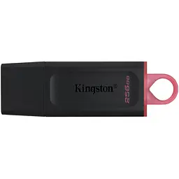 Kingston Накопичувач 256GB USB 3.2 Type-A Gen1 DT Exodia