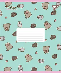 Набір зошитів шкільних YES А5/12 лінія Pusheen Candy 25 шт (767598) - мініатюра 6