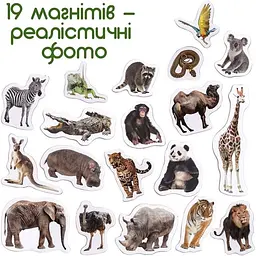 Набір магнітів Magdum Зоо 19 шт. ML4031-02 EN  - мініатюра 3