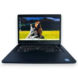 Ноутбук Dell Latitude 5490 14" (i5-8350U / 16GB / SSD 256GB) Refurbished