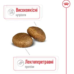 Сухий корм Royal Canin Maxi Adult для дорослих собак великих порід з м'ясом птиці та кукурудзою 15 кг - мініатюра 4