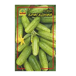 Насіння огірка Бригадний 0,5 г (Насіння країни)
