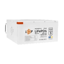 Акумулятор LP LiFePO4 51,2V - 230 Ah (11776Wh) (BMS JK 200A/100A) RM RS485/CAN WH - мініатюра 5