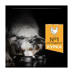 Сухий корм для собак Purina Pro Plan Dog Medium Adult з куркою 3 кг (7613035114807) - мініатюра 7
