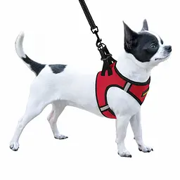 Шлея для собак Bronzedog Sport Vest M 24х18х3 см червона - мініатюра 3