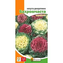 Капуста Декоративна ЯСКРАВА декоративна Бахромчаста (20 пачок) 0,2г
